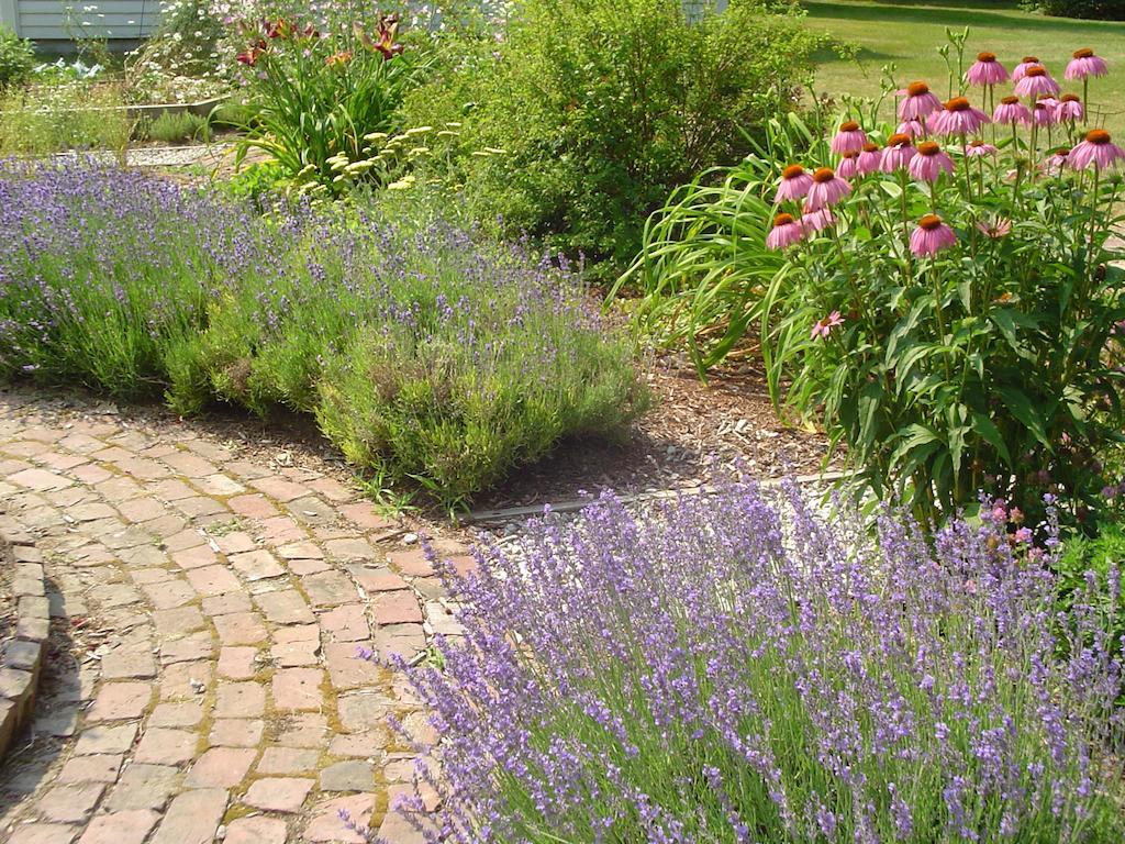 Candia Stephen Clay Homestead Bed And Breakfast المظهر الخارجي الصورة